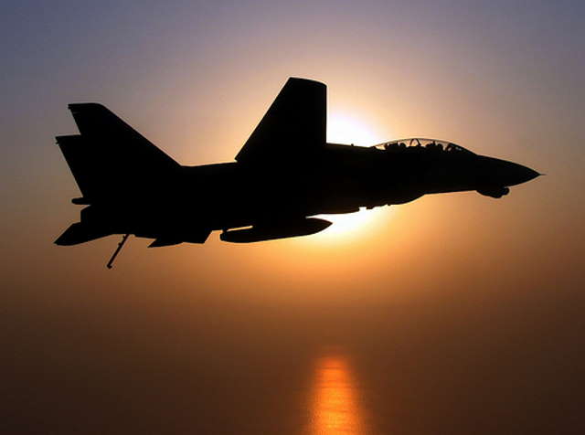 bombcats(F-14)の画像